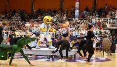 Foto de la galería: Postales del Mundial: delirio con la selección ante Sudáfrica en el Finito Gehrmann