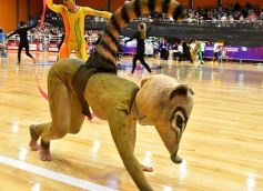 Foto de la galería: Postales del Mundial: delirio con la selección ante Sudáfrica en el Finito Gehrmann