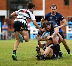 Foto de la galería: Aranduroga le aguó la fiesta de su 50 aniversario con el rugby a CAPRI