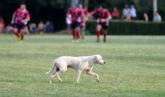 Foto de la galería: La Hormiga derrotó a Centro por el Regional B