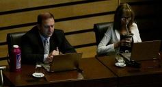 Foto de la galería: Passalacqua inauguró el período de sesiones 2019 en la Legislatura misionera y anunció el Programa ‘Construyo Mi Casa’