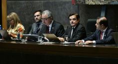 Foto de la galería: Passalacqua inauguró el período de sesiones 2019 en la Legislatura misionera y anunció el Programa ‘Construyo Mi Casa’