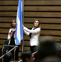 Foto de la galería: Passalacqua inauguró el período de sesiones 2019 en la Legislatura misionera y anunció el Programa ‘Construyo Mi Casa’