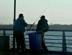 Foto de la galería: Postales de Posadas: con las imágenes de la entrega de un 0KM incluidas