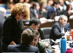 Foto de la galería: La Legislatura provincial destacó la realización de actividades culturales, académicas y de prevención