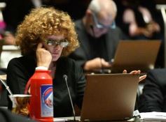 Foto de la galería: La Legislatura provincial destacó la realización de actividades culturales, académicas y de prevención