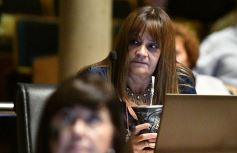 Foto de la galería: La Legislatura provincial destacó la realización de actividades culturales, académicas y de prevención