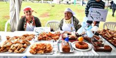 Foto de la galería: Segunda “Feria Sin Fronteras- Yacyretá Emprende” en la Costanera de Posadas