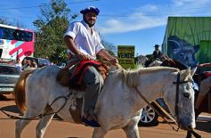 Foto de la galería: Postales del desfile cívico-militar en Candelaria