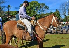 Foto de la galería: Postales del desfile cívico-militar en Candelaria