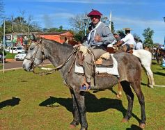 Foto de la galería: Postales del desfile cívico-militar en Candelaria