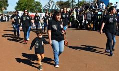 Foto de la galería: Postales del desfile cívico-militar en Candelaria