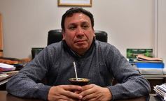 Foto de la galería: Ricardo Maciel: "Trabajamos fuerte para que el pequeño agricultor logre comercializar toda su producción"