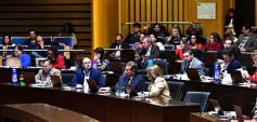 Foto de la galería: Misiones garantizará la cirugía reconstructiva en los casos de extirpación de mama por patología
