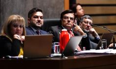 Foto de la galería: Misiones garantizará la cirugía reconstructiva en los casos de extirpación de mama por patología