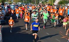 Foto de la galería: Hubo más de 700 participantes en la Maratón Solidaria por los 51 años de Energía de Misiones