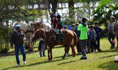 Foto de la galería: Niños del Hogar de Día disfrutaron de una jornada en Pueblo Chico con el vicegobernador Herrera Ahuad
