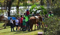 Foto de la galería: Niños del Hogar de Día disfrutaron de una jornada en Pueblo Chico con el vicegobernador Herrera Ahuad
