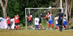 Foto de la galería: Torneo Internacional de Fútbol Infantil en el Tacurú: los cracks del futuro en acción