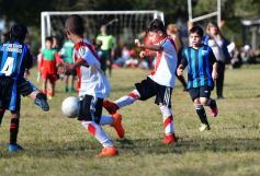 Foto de la galería: Torneo Internacional de Fútbol Infantil en el Tacurú: los cracks del futuro en acción