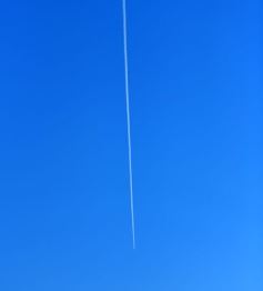 Foto de la galería: Torneo Internacional de Fútbol Infantil en el Tacurú: los cracks del futuro en acción