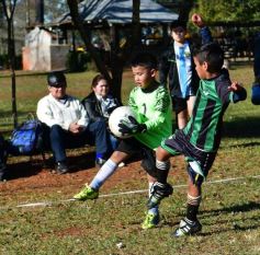 Foto de la galería: Torneo Internacional de Fútbol Infantil en el Tacurú: los cracks del futuro en acción