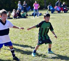 Foto de la galería: Torneo Internacional de Fútbol Infantil en el Tacurú: los cracks del futuro en acción