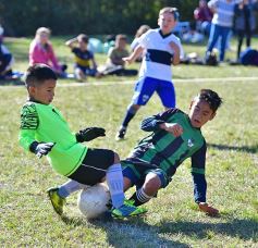 Foto de la galería: Torneo Internacional de Fútbol Infantil en el Tacurú: los cracks del futuro en acción