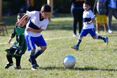Foto de la galería: Torneo Internacional de Fútbol Infantil en el Tacurú: los cracks del futuro en acción