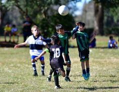 Foto de la galería: Torneo Internacional de Fútbol Infantil en el Tacurú: los cracks del futuro en acción