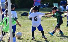 Foto de la galería: Torneo Internacional de Fútbol Infantil en el Tacurú: los cracks del futuro en acción