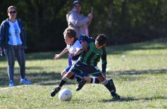 Foto de la galería: Torneo Internacional de Fútbol Infantil en el Tacurú: los cracks del futuro en acción