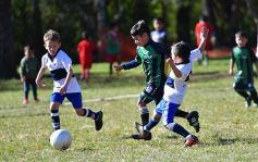Foto de la galería: Torneo Internacional de Fútbol Infantil en el Tacurú: los cracks del futuro en acción
