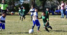 Foto de la galería: Torneo Internacional de Fútbol Infantil en el Tacurú: los cracks del futuro en acción