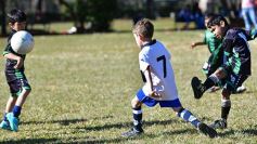 Foto de la galería: Torneo Internacional de Fútbol Infantil en el Tacurú: los cracks del futuro en acción