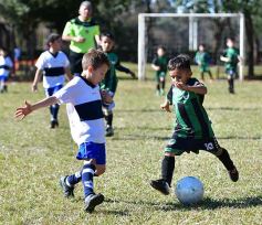 Foto de la galería: Torneo Internacional de Fútbol Infantil en el Tacurú: los cracks del futuro en acción