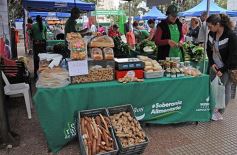 Foto de la galería: Plaza de la Soberanía Alimentaria en Posadas: en el 24° aniversario de las Ferias Francas de la provincia