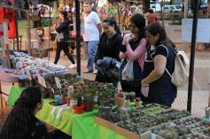 Foto de la galería: Plaza de la Soberanía Alimentaria en Posadas: en el 24° aniversario de las Ferias Francas de la provincia