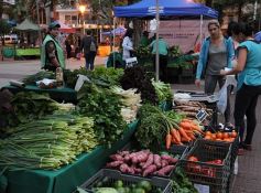 Foto de la galería: Plaza de la Soberanía Alimentaria en Posadas: en el 24° aniversario de las Ferias Francas de la provincia