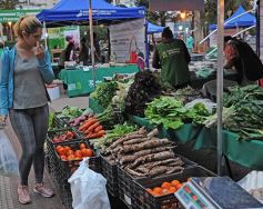 Foto de la galería: Plaza de la Soberanía Alimentaria en Posadas: en el 24° aniversario de las Ferias Francas de la provincia
