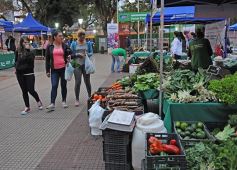 Foto de la galería: Plaza de la Soberanía Alimentaria en Posadas: en el 24° aniversario de las Ferias Francas de la provincia