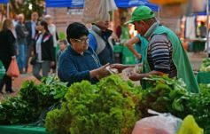 Foto de la galería: Plaza de la Soberanía Alimentaria en Posadas: en el 24° aniversario de las Ferias Francas de la provincia