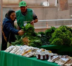 Foto de la galería: Plaza de la Soberanía Alimentaria en Posadas: en el 24° aniversario de las Ferias Francas de la provincia