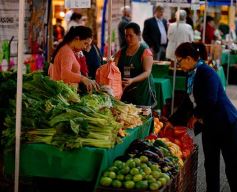 Foto de la galería: Plaza de la Soberanía Alimentaria en Posadas: en el 24° aniversario de las Ferias Francas de la provincia