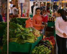 Foto de la galería: Plaza de la Soberanía Alimentaria en Posadas: en el 24° aniversario de las Ferias Francas de la provincia