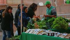 Foto de la galería: Plaza de la Soberanía Alimentaria en Posadas: en el 24° aniversario de las Ferias Francas de la provincia