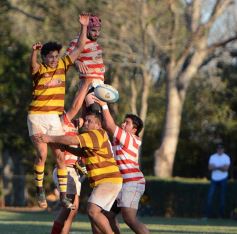 Foto de la galería: Regatas de Resistencia aplastó a Tacurú en la cancha de la Hormiga