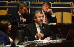 Foto de la galería: Misiones tendrá su Instituto de Medicina Regenerativa y Traslacional