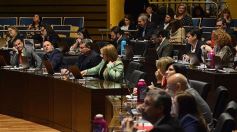 Foto de la galería: Misiones tendrá su Instituto de Medicina Regenerativa y Traslacional