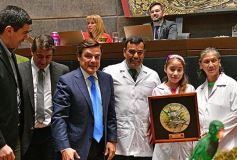 Foto de la galería: Misiones tendrá su Instituto de Medicina Regenerativa y Traslacional